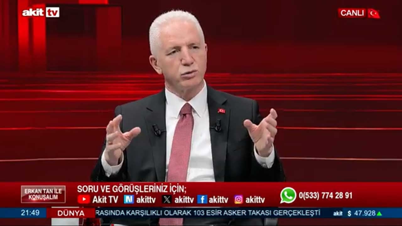 İstanbul Valisi Davut Gül: Sahipsiz hayvanların yüzde 84'ü toplandı