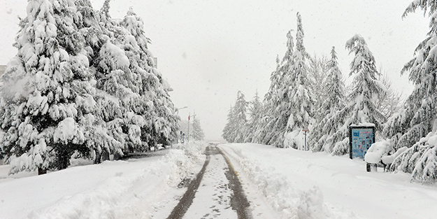 İstanbul'a kar yağışı için tarih verildi! İlk başta üzülecek, sonra sevineceğiz
