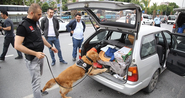 İstanbul'da 5 bin polisle 'Kurt Kapanı-5' operasyonu