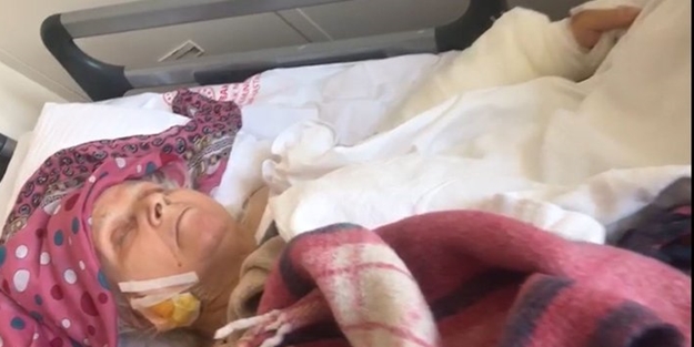 İstanbul'da 82 yaşındaki kadına korkunç saldırı: Köpek resmen annemi yemiş!