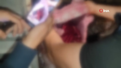 Yazıklar olsun! İstanbul'da vatandaşa at eti yedireceklerdi