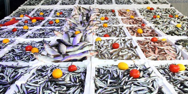 İstanbul’da balık fiyatları