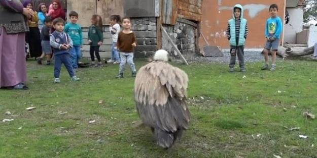 İstanbul'da bulundu: Sadece belgesellerde görüyorduk