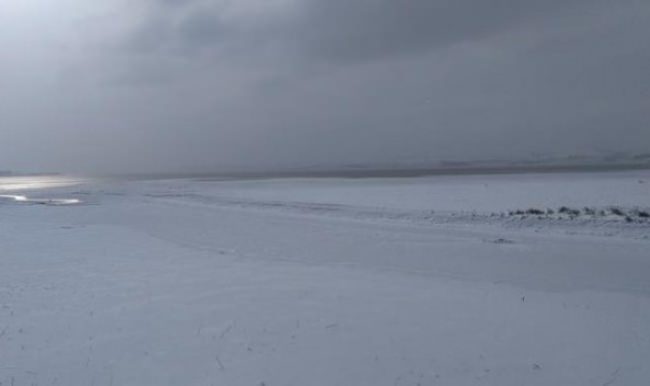 İstanbul'da bu da oldu