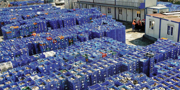 İstanbul'da denizin altından resmen hazine bulundu ama kötü haber verildi! Çalışmalar durma noktasına geldi