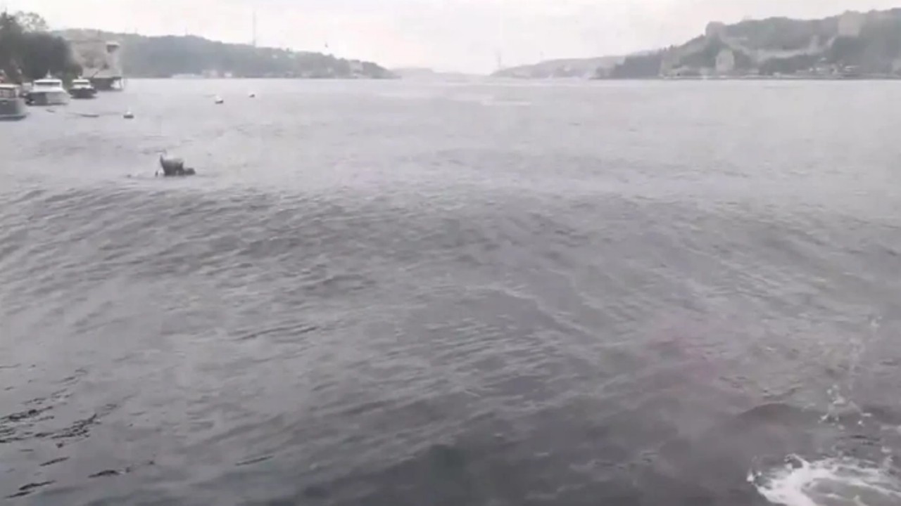 İstanbul’da deprem anı Boğaz’da böyle görüntülendi! Şu dalgalara bakın