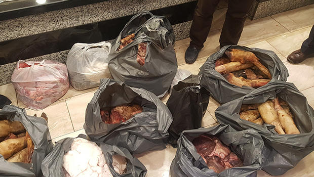 İstanbul'da ele geçirildi... Şoke eden görüntüler