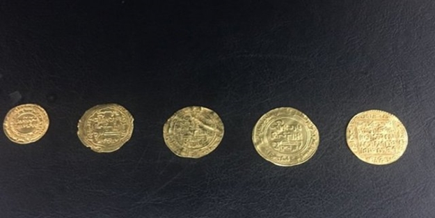 İstanbul'da ele geçirildiler! Fiyatı dudak uçuklattı