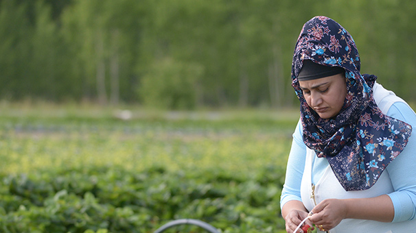 İstanbul'da geçinemeyince köyüne döndü, patron oldu!