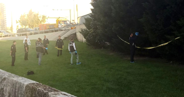 İstanbul'da göbeğinde kan donduran olay! Görenler inanamadı