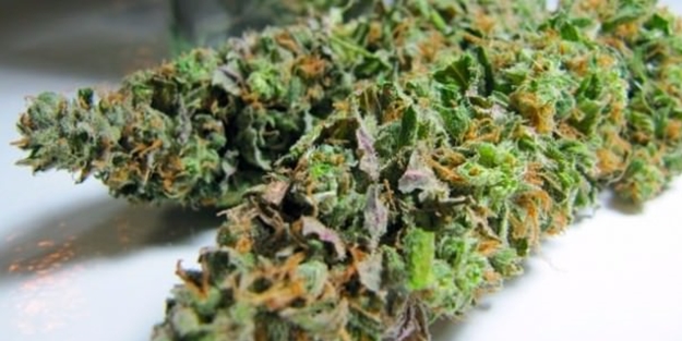 İstanbul'da jandarma ekiplerinden uyuşturucu operasyonu