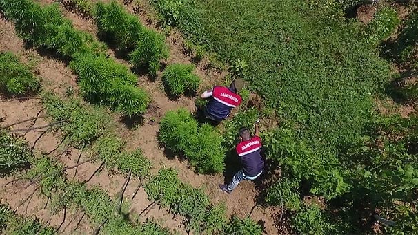 İstanbul'da Jandarmadan 'drone'lu uyuşturucu operasyonu