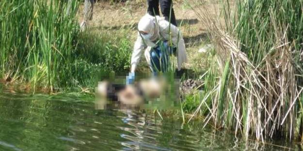 İstanbul'da kan donduran olay! Başı kesilmiş ceset bulundu