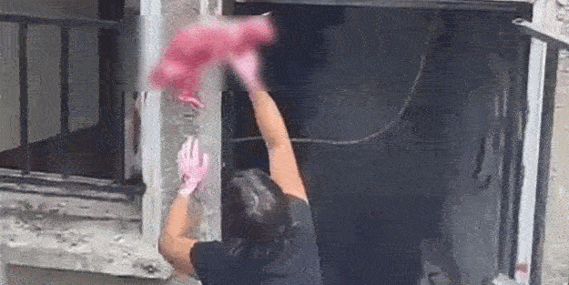 İstanbul'da kan donduran olay! Ölü kediyi boyayıp...