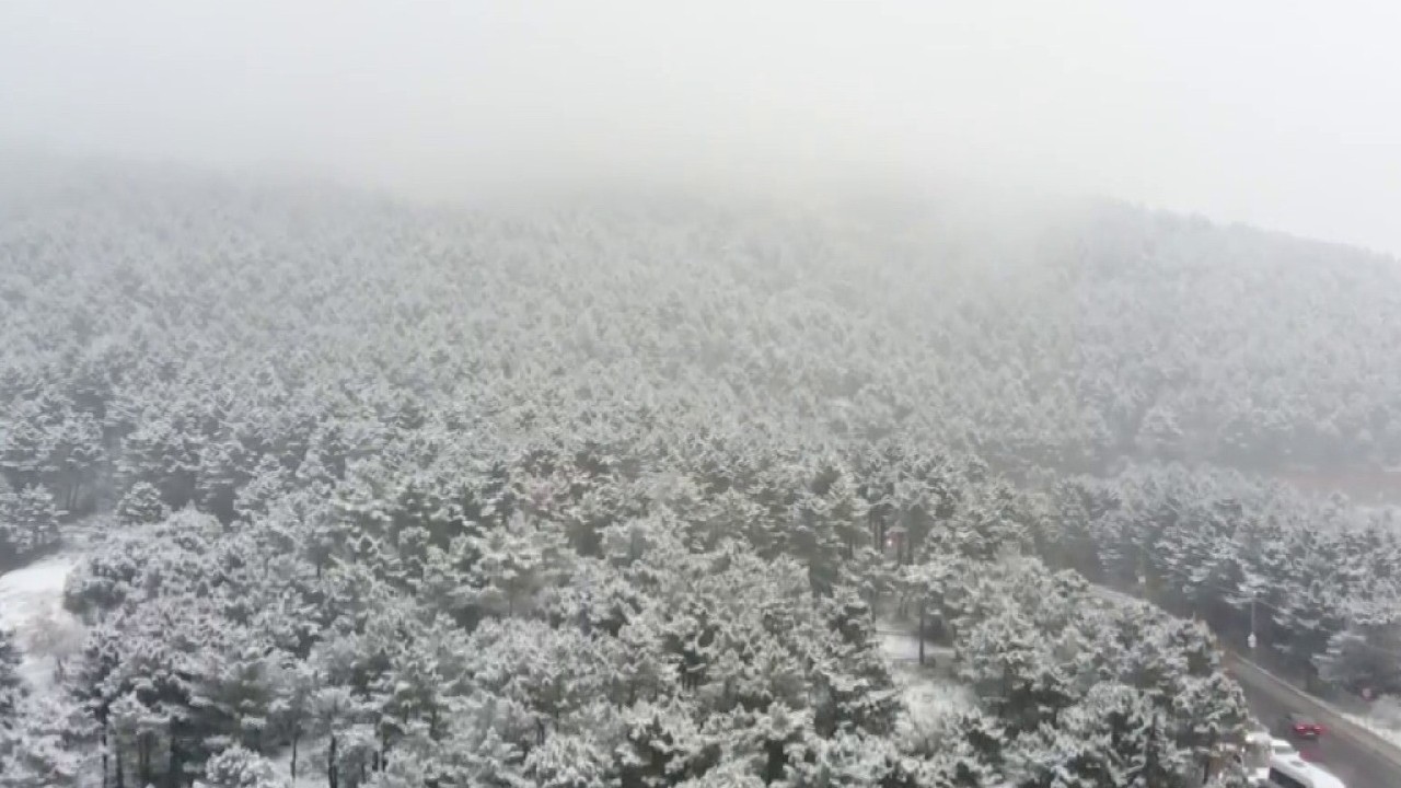 İstanbul’da kar manzarası! Aydos Ormanı beyaza büründü