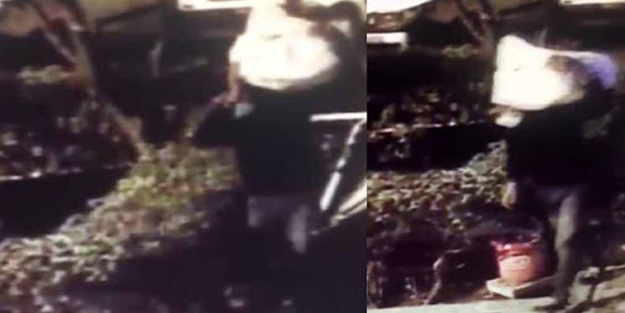 İstanbul'da 'kardan adam' hırsızlığı 'yok artık' dedirtti