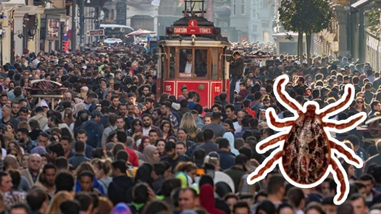 İstanbul'da kene alarmı