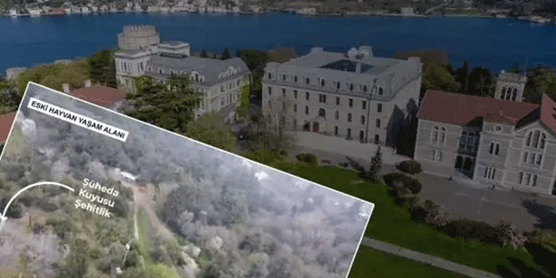 İstanbul'da kepazelik! Şehitliğin üzerine hayvan barınağı kurdular