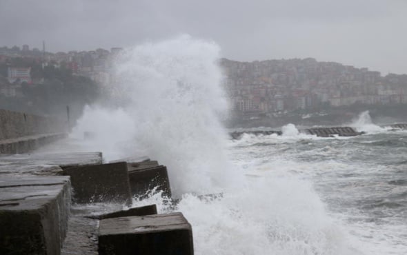 İstanbul'da Kestane Karası Fırtınası!
