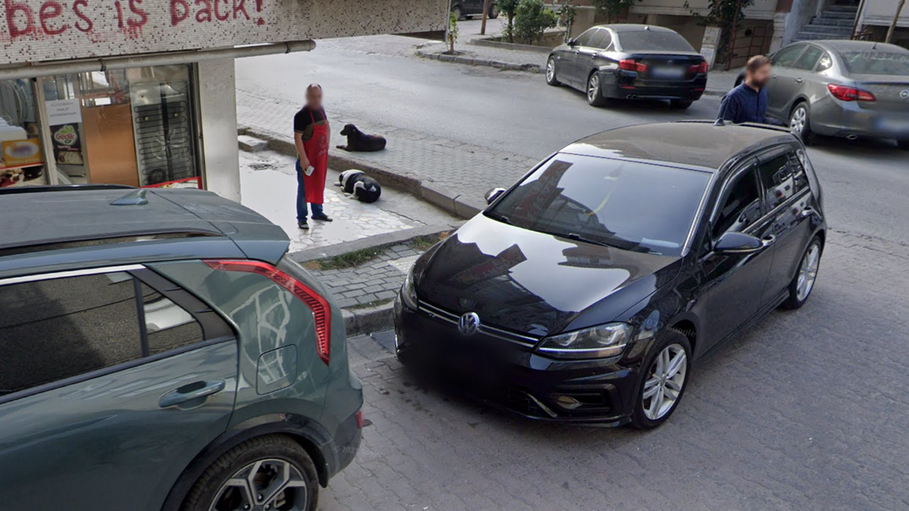 İstanbul'da köpek sorunu: İmamoğlu'nun patili dostları o sokakta çocuklara saldırıyor!