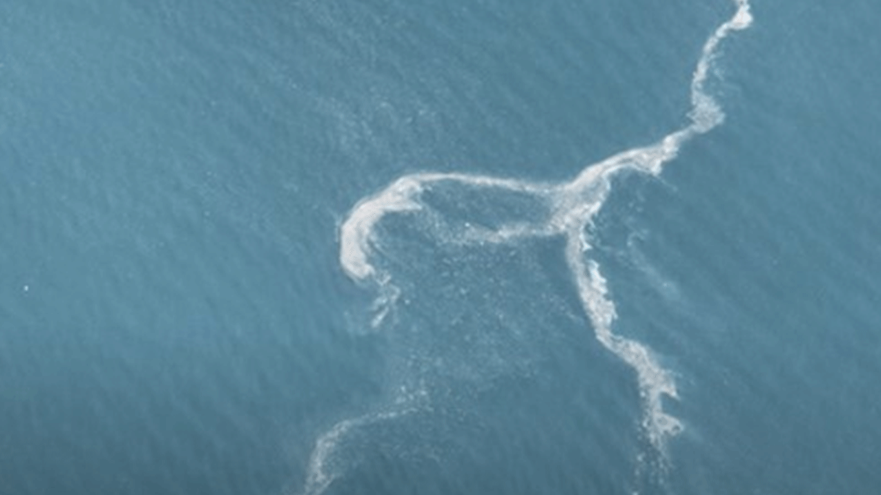 İstanbul'da korkutan görüntü: Yeniden ortaya çıktı!