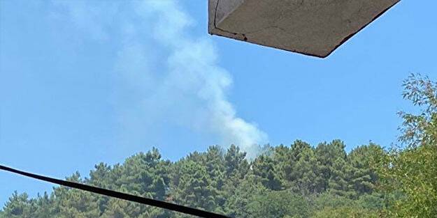 Beykoz'da orman yangını