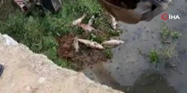 İstanbul'da korkutan manzara! Vatandaşlar isyan etti