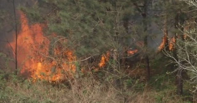 İstanbul'da korkutan yangın