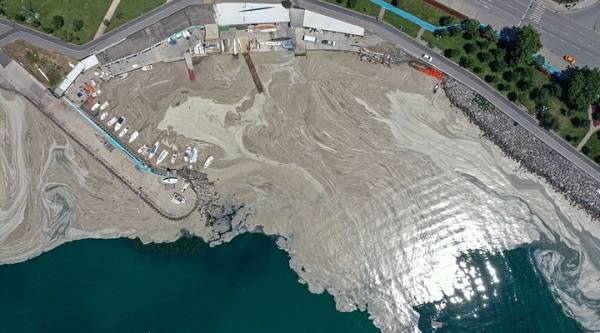 İstanbul'da müsilaj temizliği bitti mi? İstanbul'da denize girilir mi?