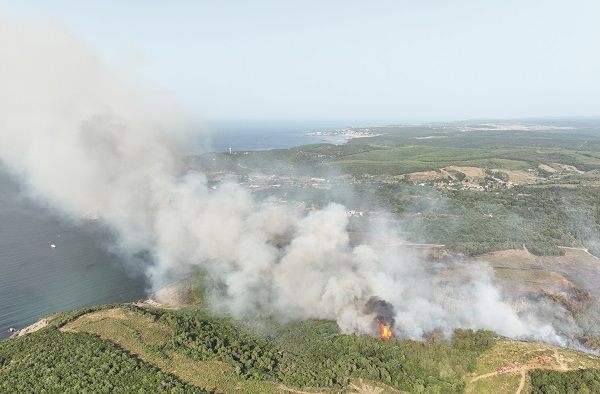 İstanbul’da orman yangını! 10 hektarlık alan...
