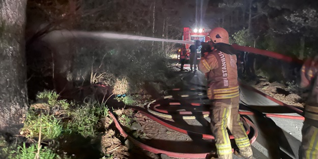 İstanbul'da orman yangını