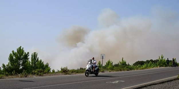 İstanbul'da orman yangını!