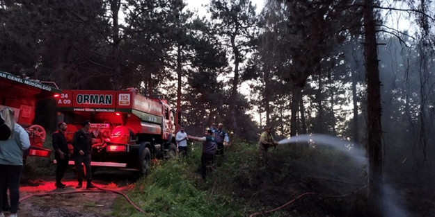 İstanbul'da orman yangını
