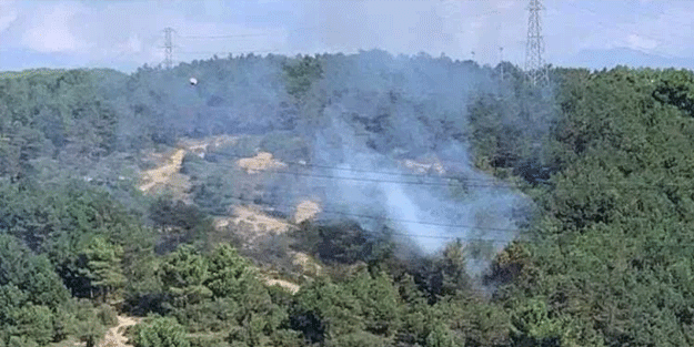 İstanbul'da orman yangını! Helikopterle müdahale ediliyor