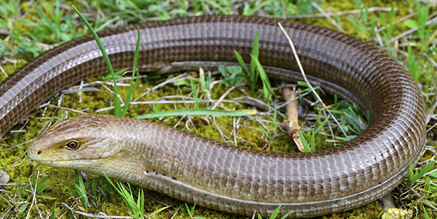 İstanbul'da panik! Sokaklara indiler...