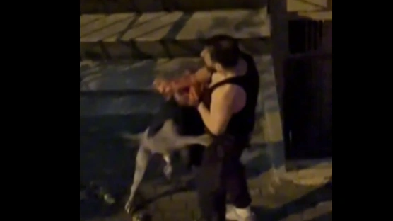 İstanbul’da pitbull dehşeti! Sahibini ısıran köpek sosyal medyada gündem oldu