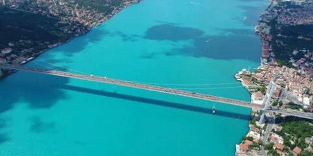 İstanbul’da plankton patlaması gerçekleşti!