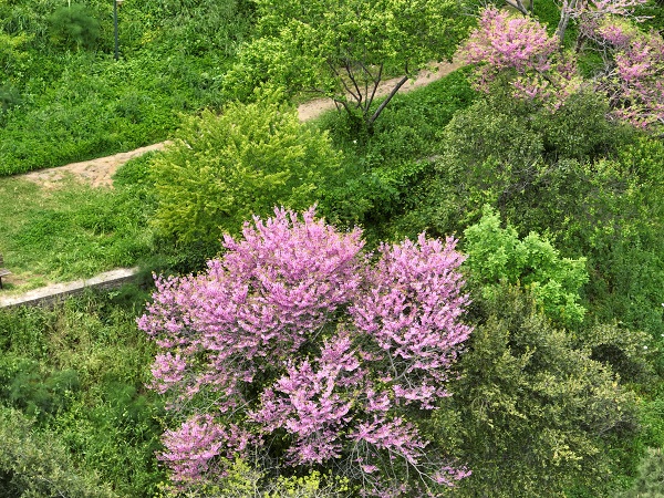 İstanbul'da renk cümbüşü