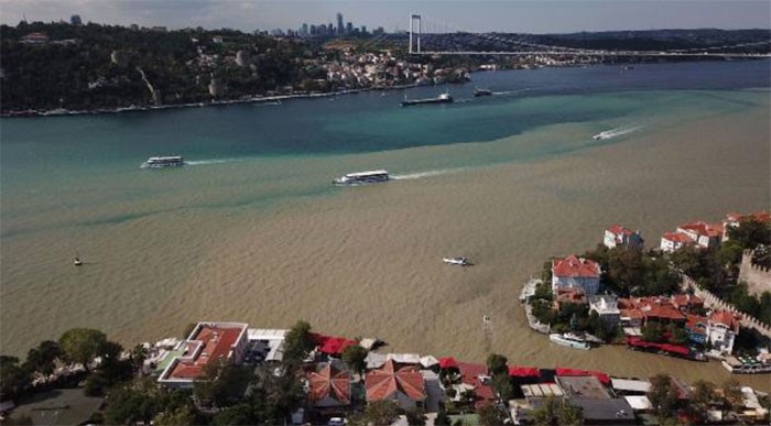 İstanbul'da şaşırtan görüntü!