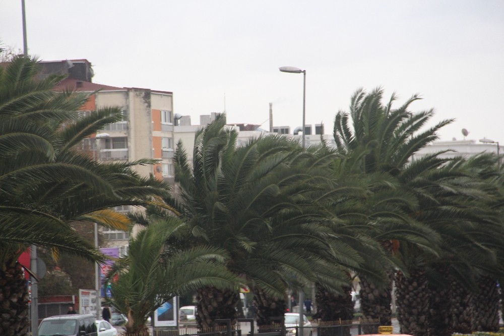 İstanbul’da şiddetli rüzgar etkili oluyor 