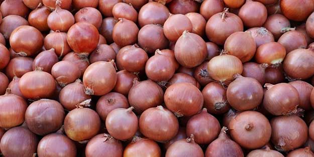 İstanbul’da soğan, fiyatıyla göz yaşartıyor