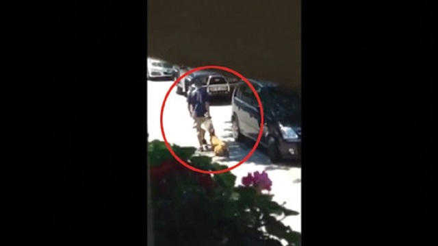 İstanbul'da sokak ortasında köpeğe işkence