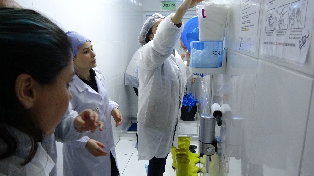 İstanbul’da süt ve süt ürünlerine sıkı denetim 