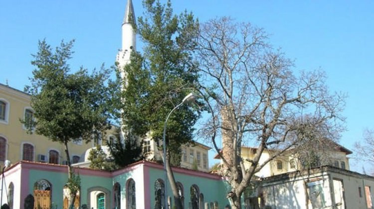 İstanbul'da türbeye gelip FETÖ'yü övünce tutuklandı