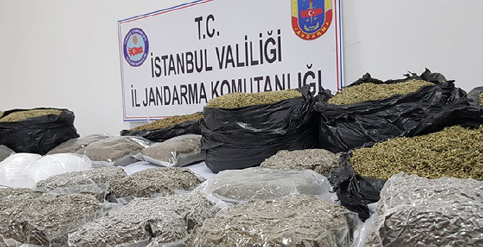 İstanbul'da uyuşturucu operasyonu: 40 kilo Bonzai ele geçirildi