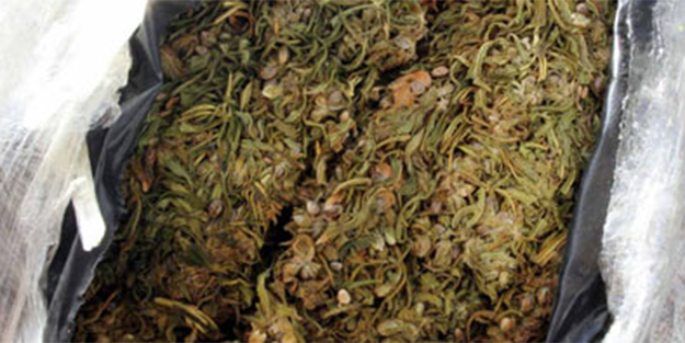 İstanbul'da uyuşturucu operasyonu