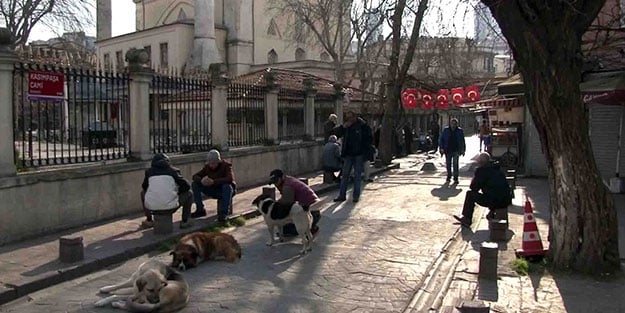İstanbul’da yaşlılar kendilerini sokağa attı, akülü araçla sokaklarda turladı