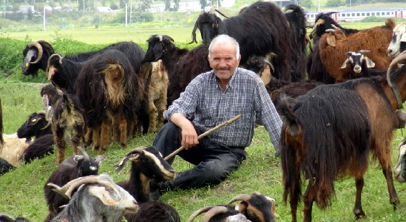 İstanbul'da yaylayı aratmayan manzara! Burası Türkmen Yaylası değil İstanbul