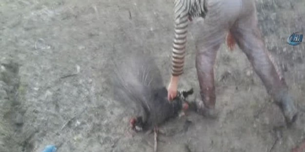 İstanbul'da korkunç görüntüler! - VİDEO