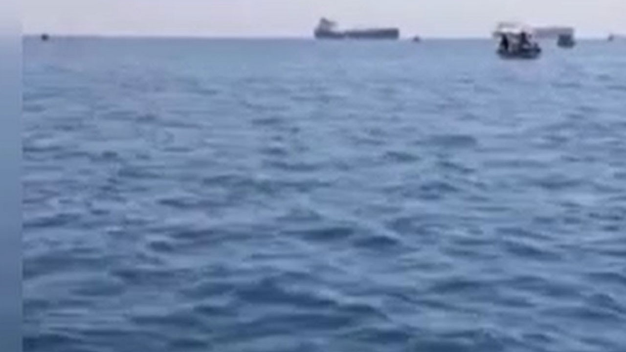 İstanbul'da yunuslardan nefes kesen gösteri